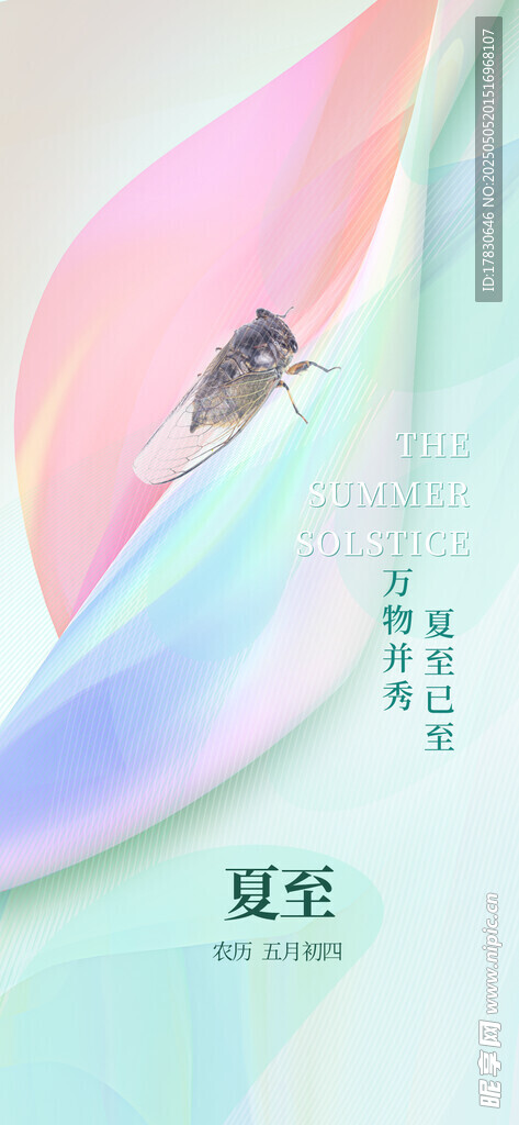 梦幻色彩中飞鸟展翅