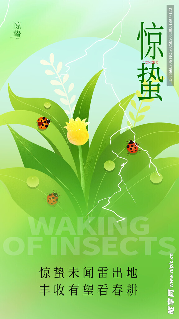 惊蛰海报
