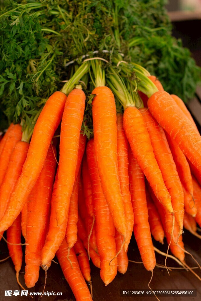 新鲜胡萝卜堆叠展示
