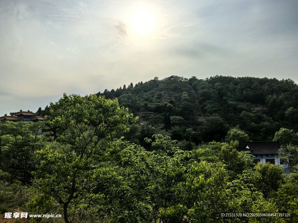 山林绿意 阳光洒落美景