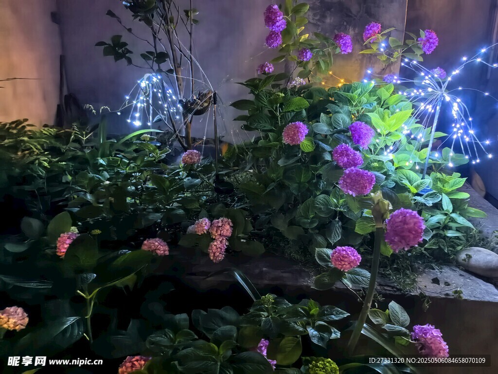 梦幻灯光下的多彩花卉