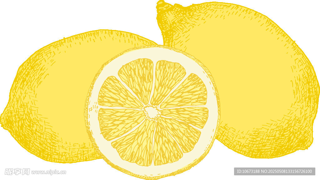 新鲜柠檬切片展示