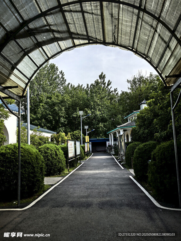 拱形棚下的林荫通道