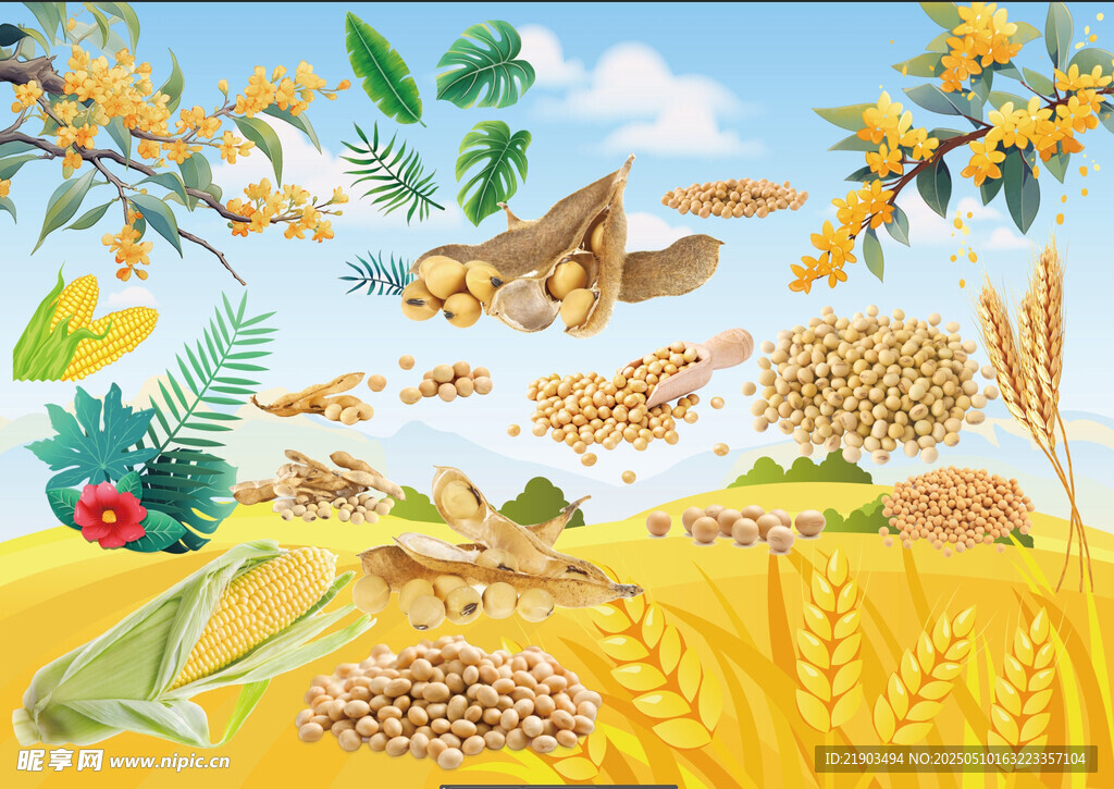 大豆玉米桂花小麦绿植
