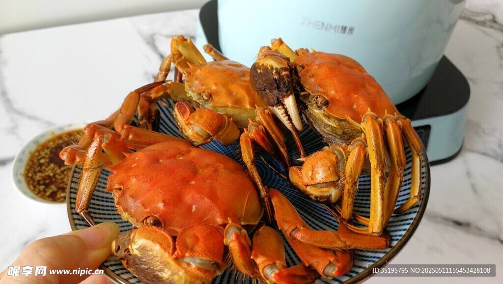 美味大闸蟹新鲜诱人