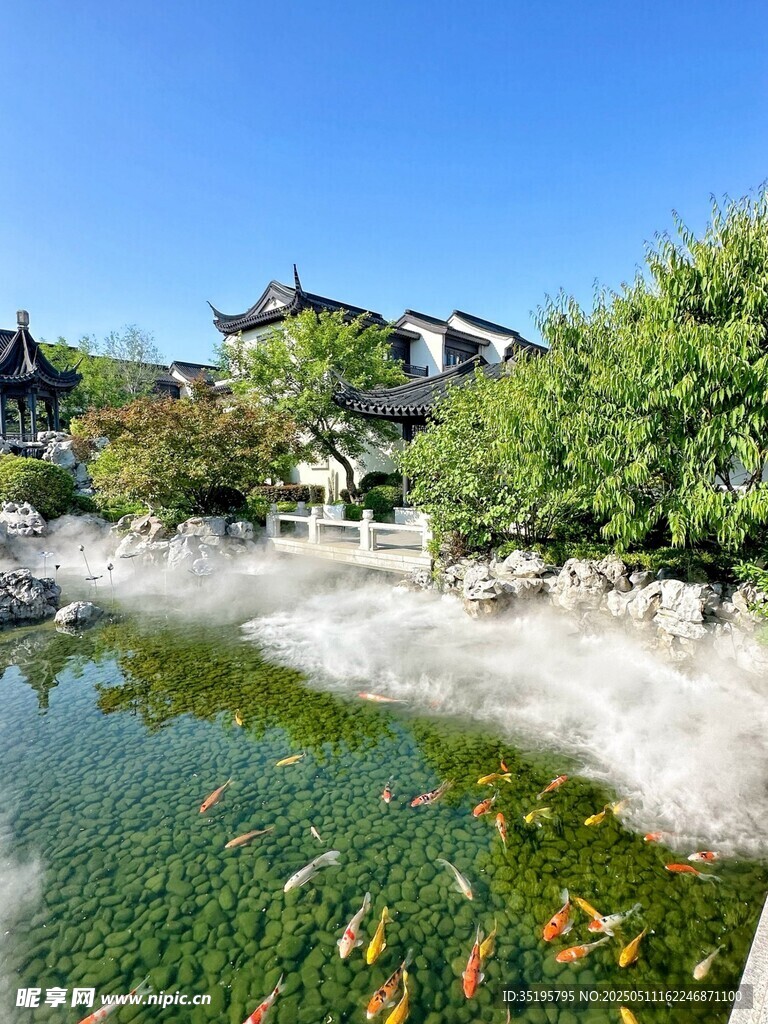 中式庭院池塘锦鲤景观