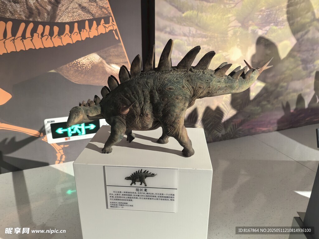 展示中的仿真恐龙模型