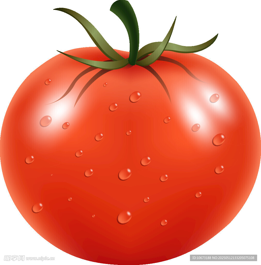 新鲜带水珠的红番茄