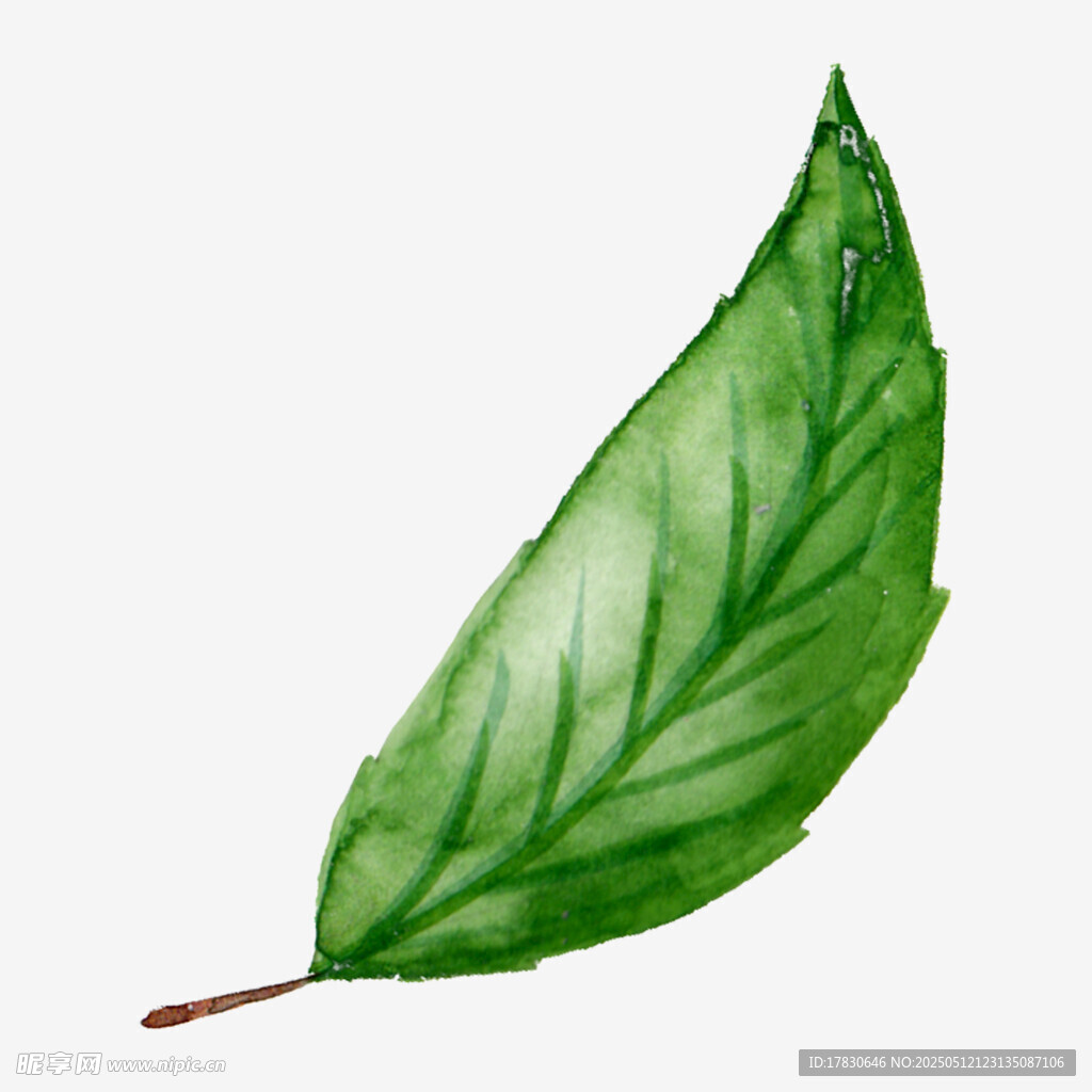 水彩绘绿色单叶片