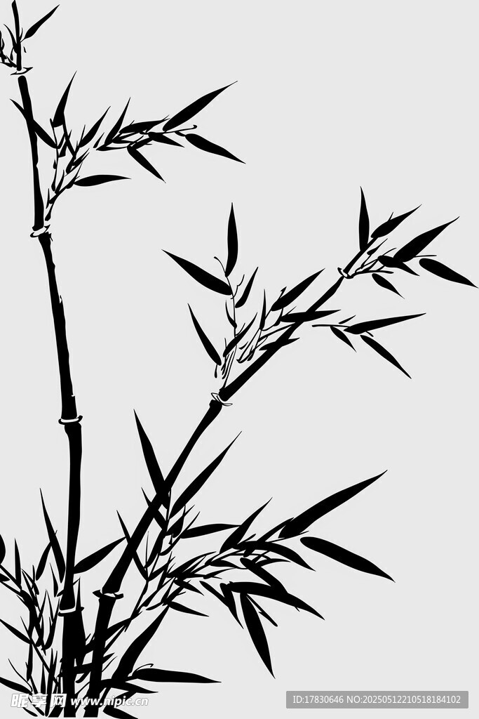 水墨风竹枝特写