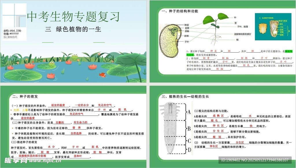 生物知识点植物的一生