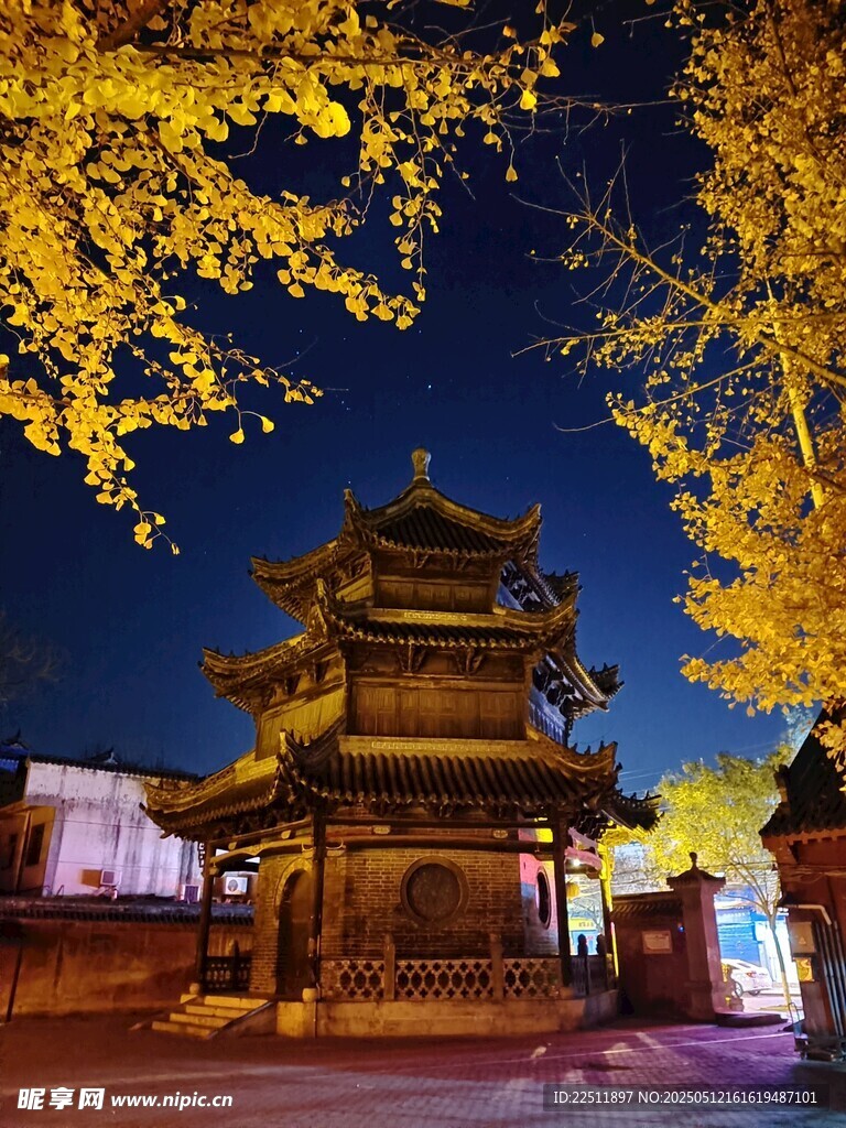 古楼夜色中的金黄银杏