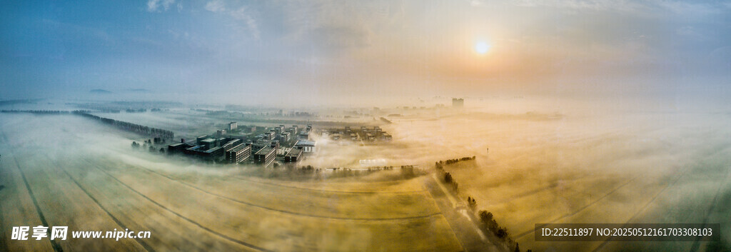 日出下的田野美景