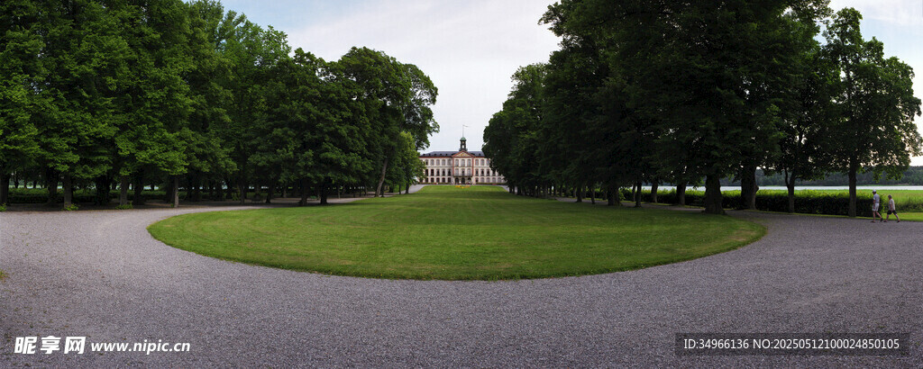 绿意盎然的公园开阔草地