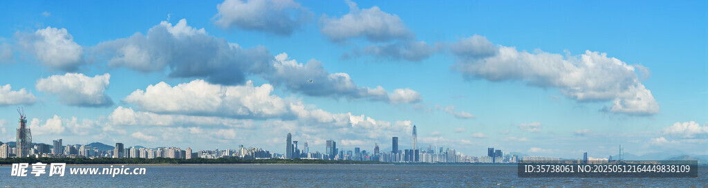 城市天际线与开阔水域景观