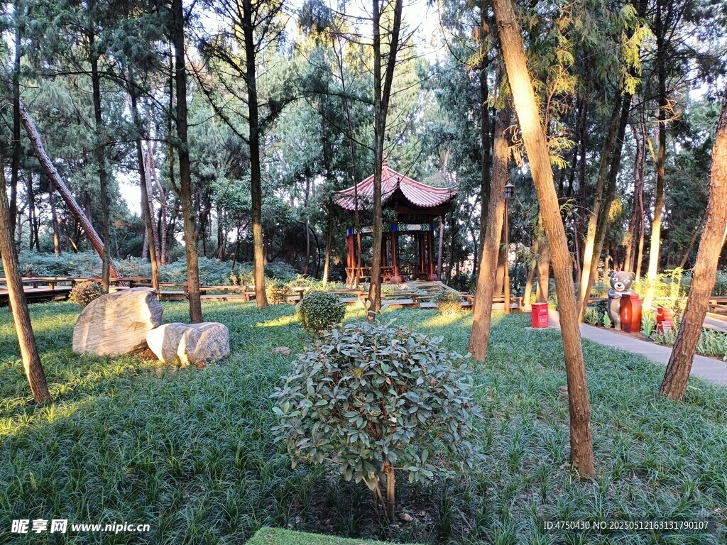 静谧林间园林景致