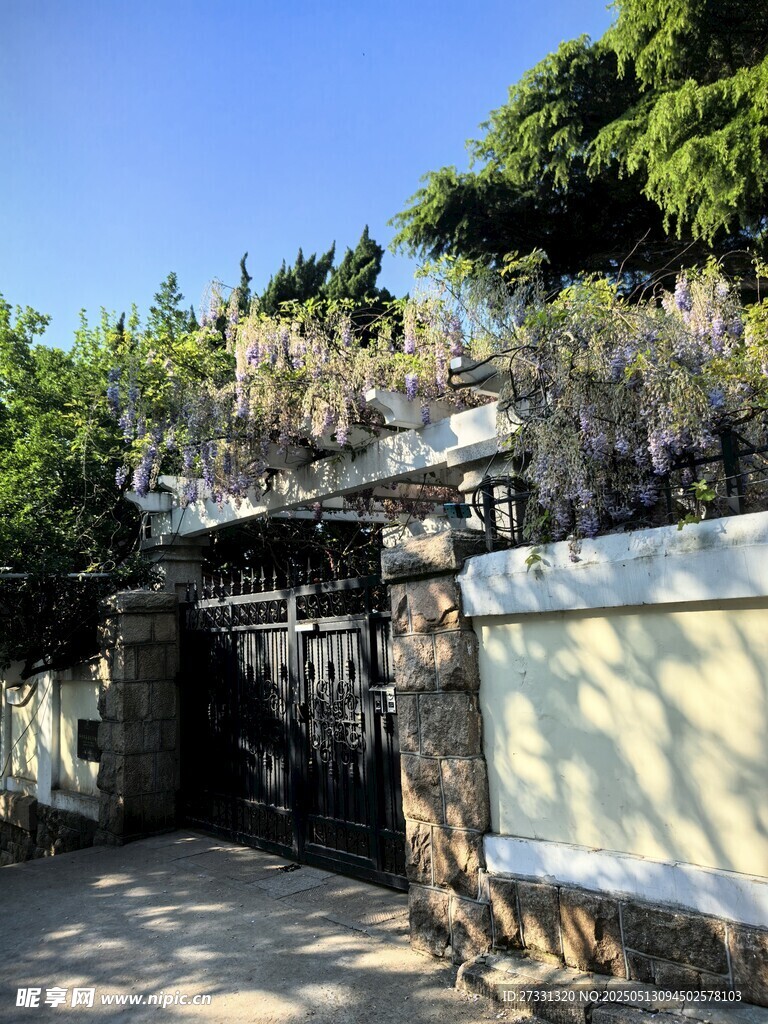 古朴石墙旁的绿植景致