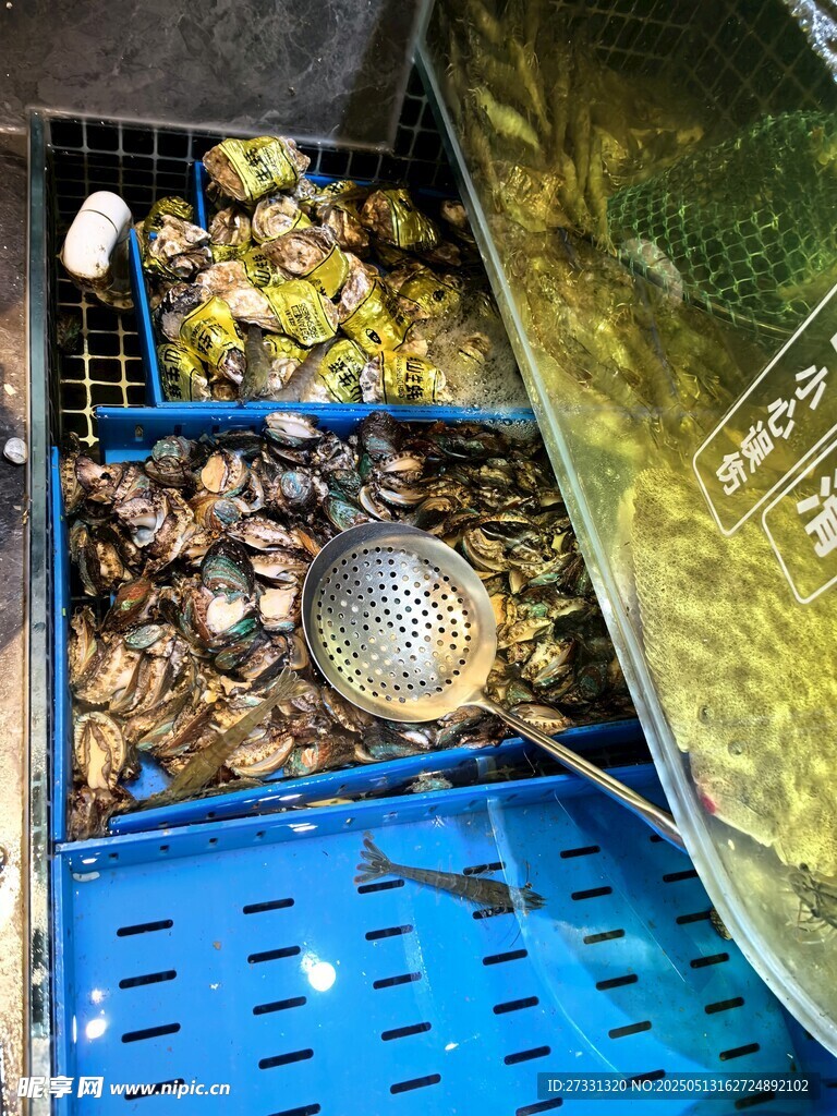 蓝色筐内的多样海鲜贝类
