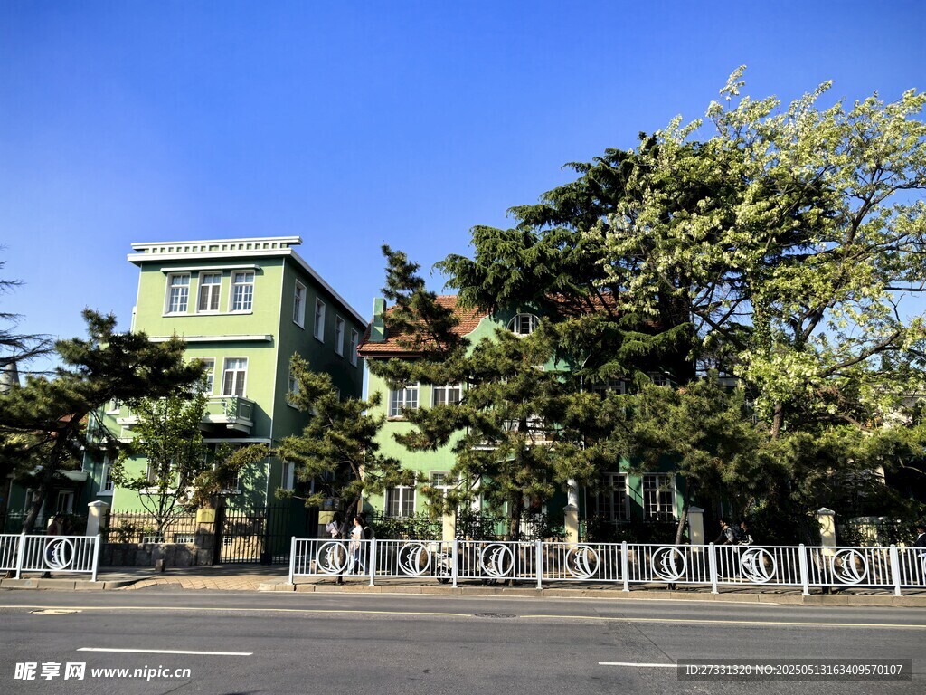 街边绿树环绕的绿色建筑