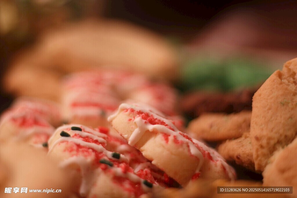 多彩美味节日小饼干