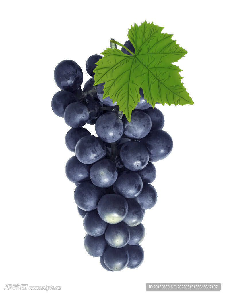 一串紫葡萄带绿叶