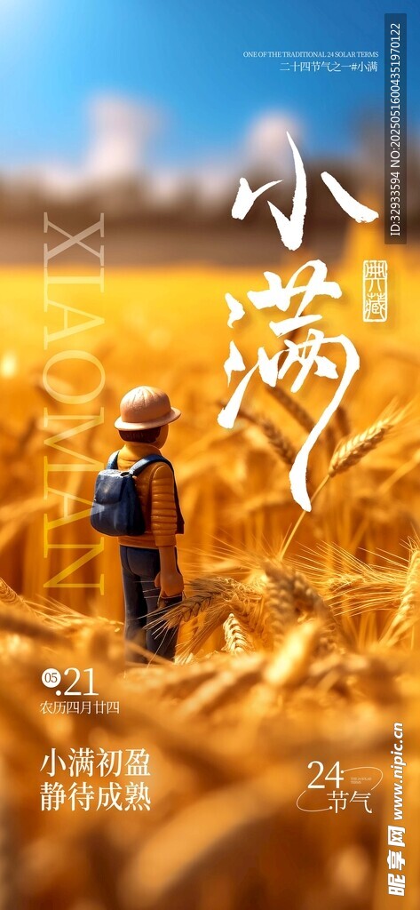 小满传统节气小麦宣传