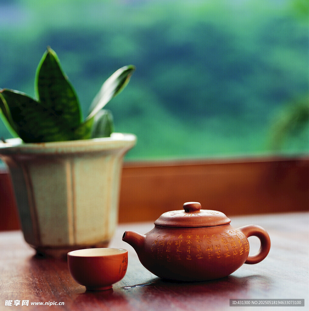 古朴茶具与绿植相映成趣