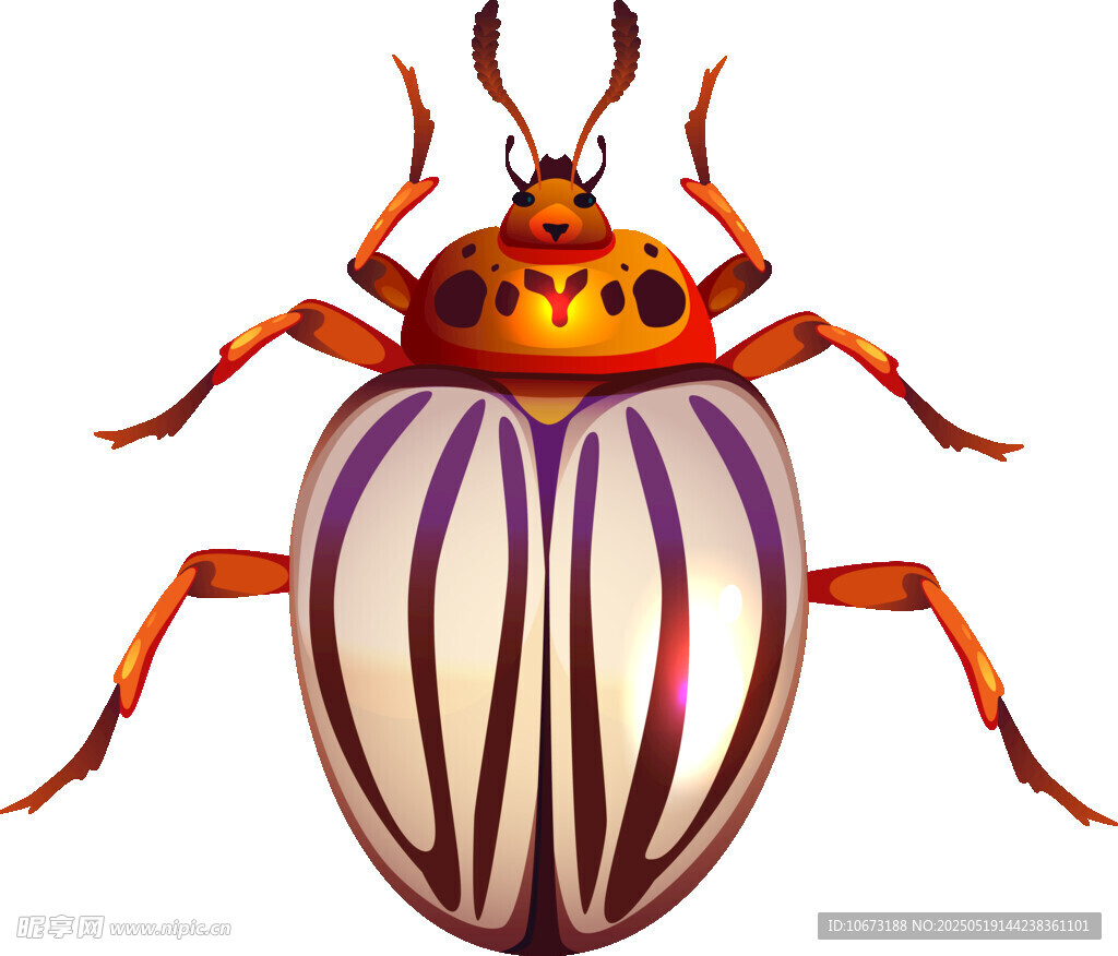 彩色条纹甲虫插画