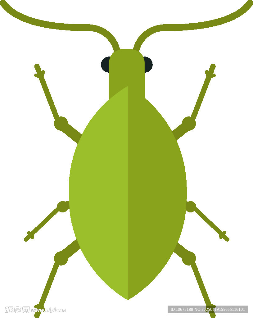 绿色甲虫插画