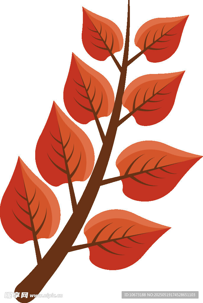 秋日红枫叶枝插画