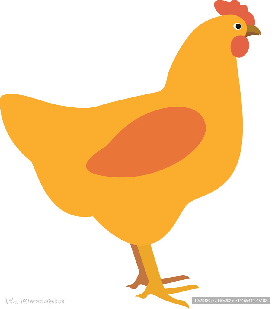站立的黄色母鸡