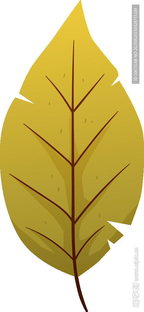 黄色叶片插画