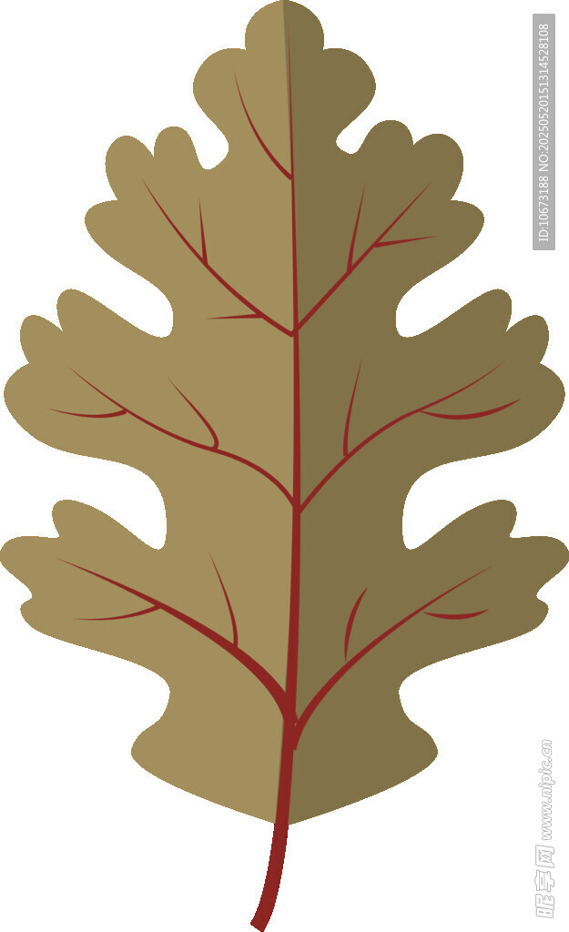 金色橡树叶插画