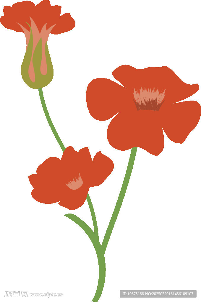 三朵鲜艳红色花卉插画