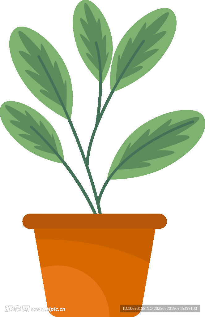 橙色花盆中的绿植