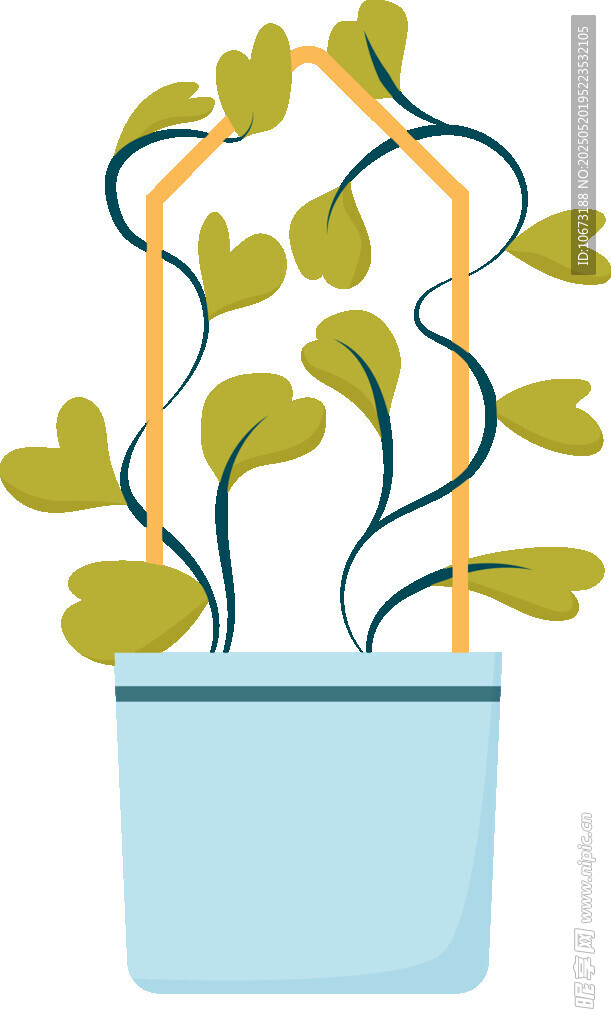 盆栽绿植 藤蔓生机盎然