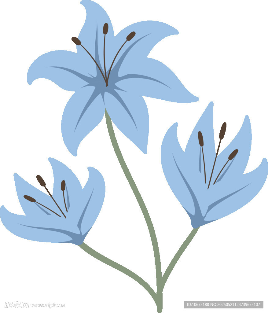 蓝色百合花插画