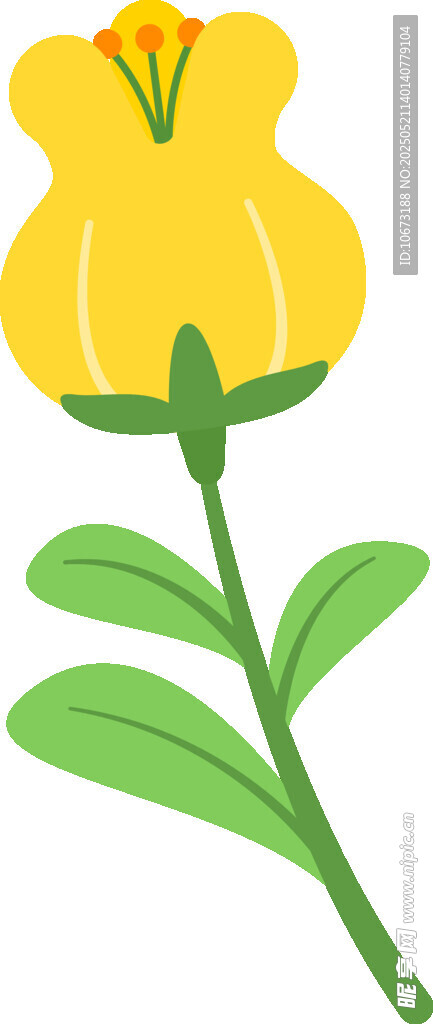 黄色花朵插画
