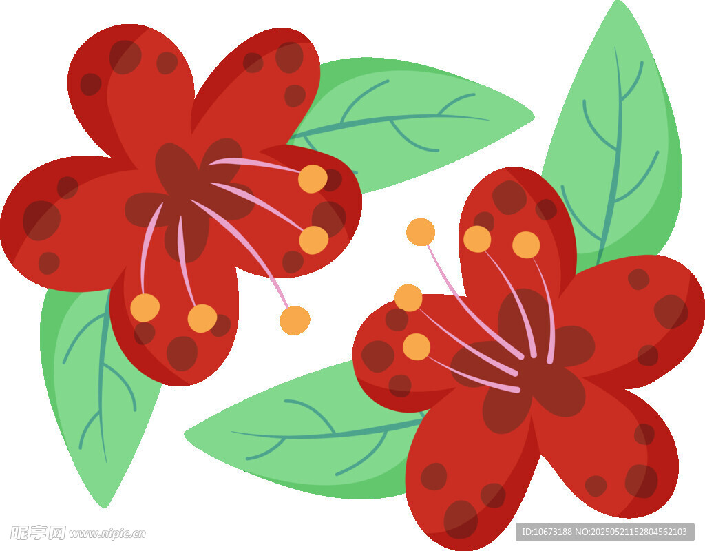 两朵红花配绿叶插画