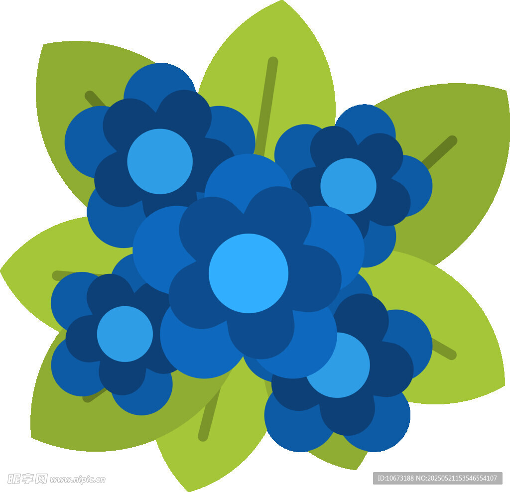 蓝色花朵与绿叶插画