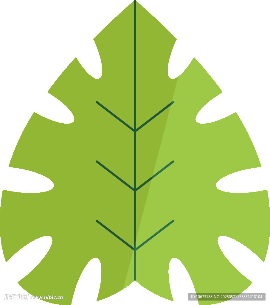 绿色龟背竹叶图标