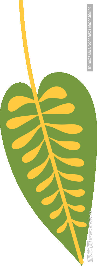 黄绿相间的独特叶片图案