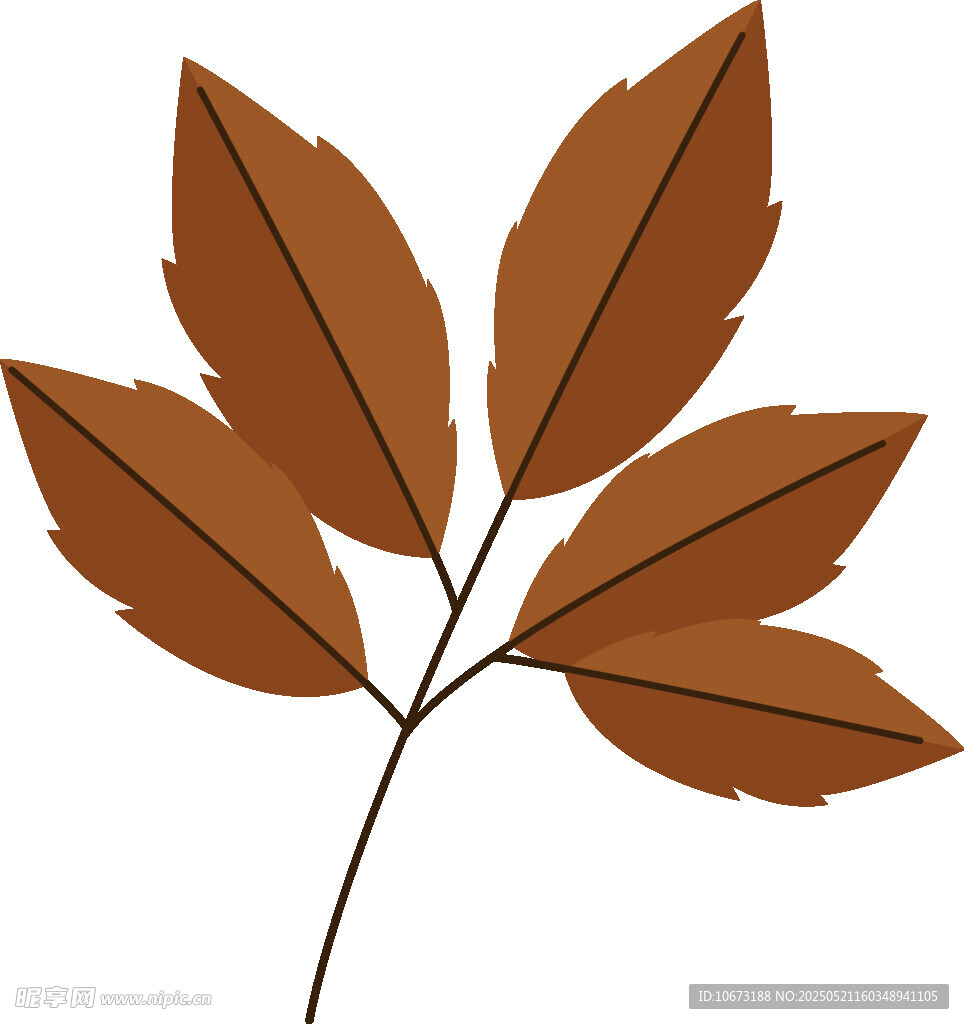 棕色叶片插画