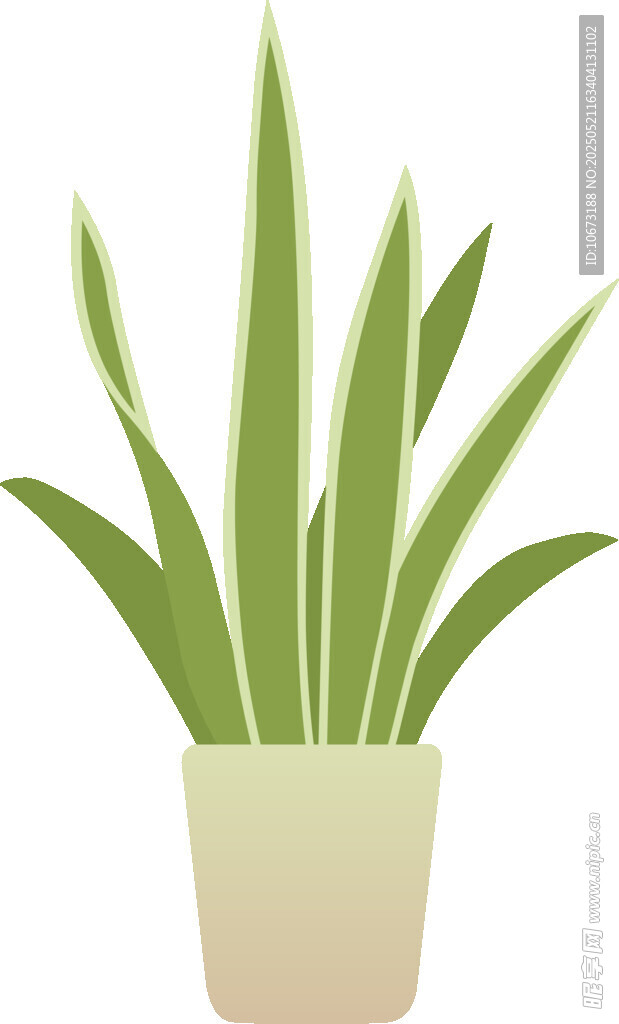 盆栽绿植 清新简约风