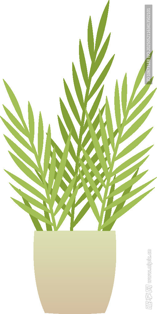 盆栽绿植 清新室内小景