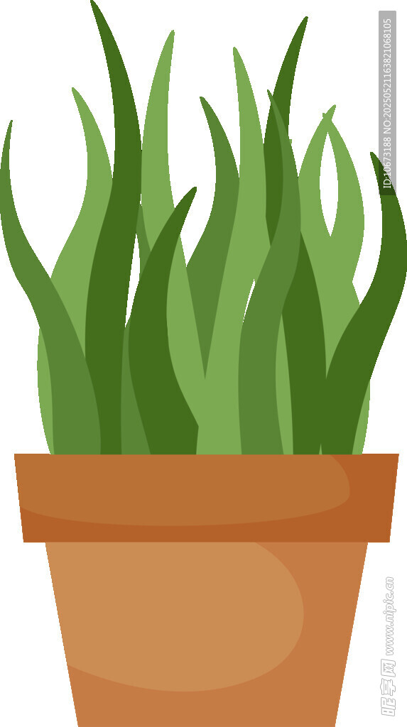 盆栽绿植 清新室内小景