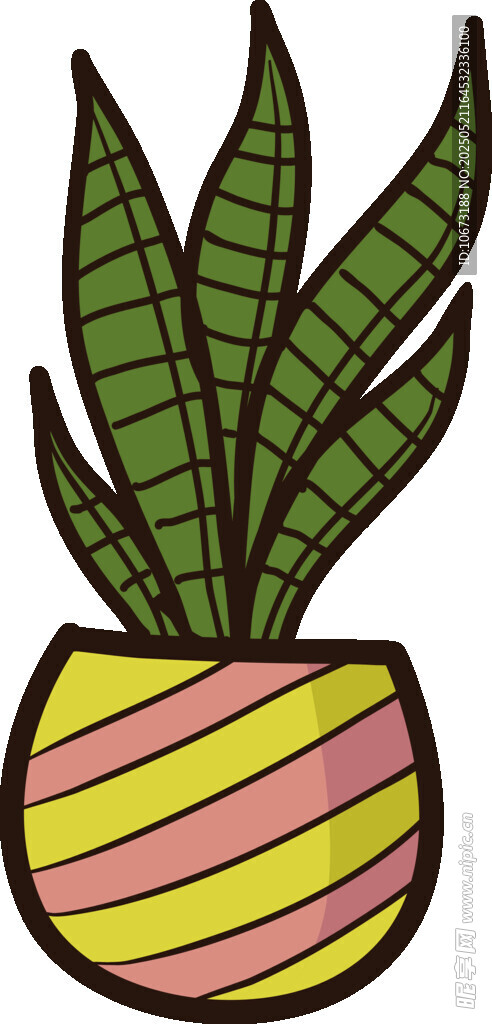 条纹花盆中的绿植