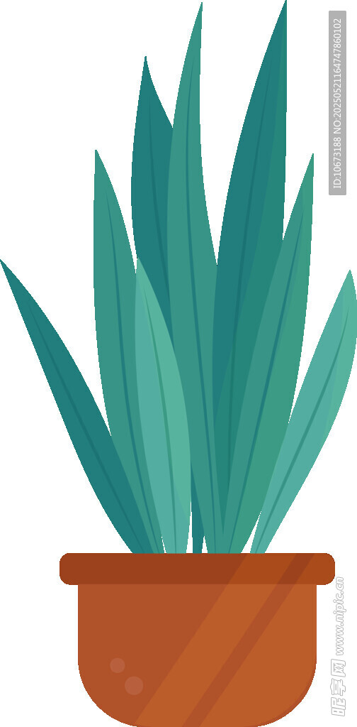 盆栽绿植 清新室内小植物