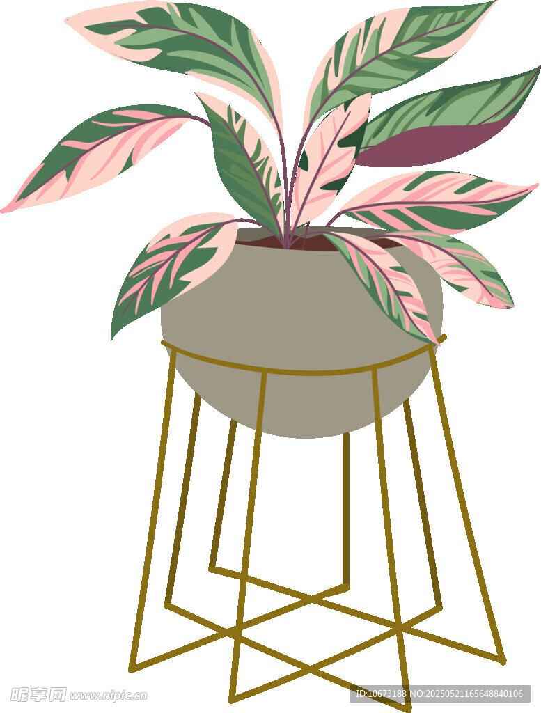 盆栽植物置于金属花架上