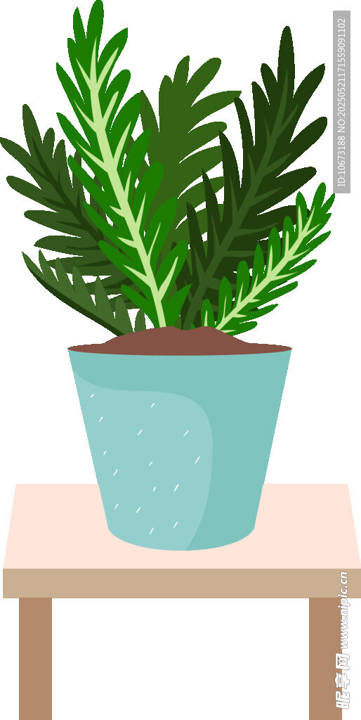 桌上盆栽绿植清新画面